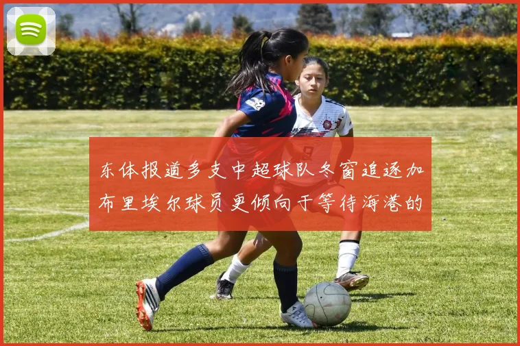 东体报道多支中超球队冬窗追逐加布里埃尔球员更倾向于等待海港的机会