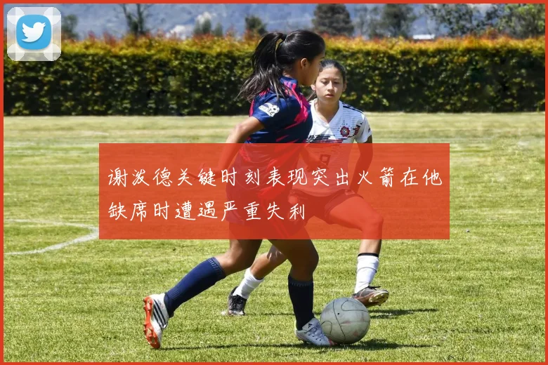 谢泼德关键时刻表现突出火箭在他缺席时遭遇严重失利