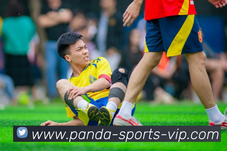 熊猫体育平台生态图