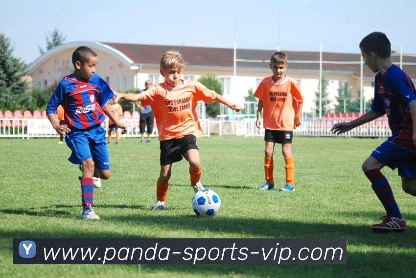 熊猫体育APP 封面图